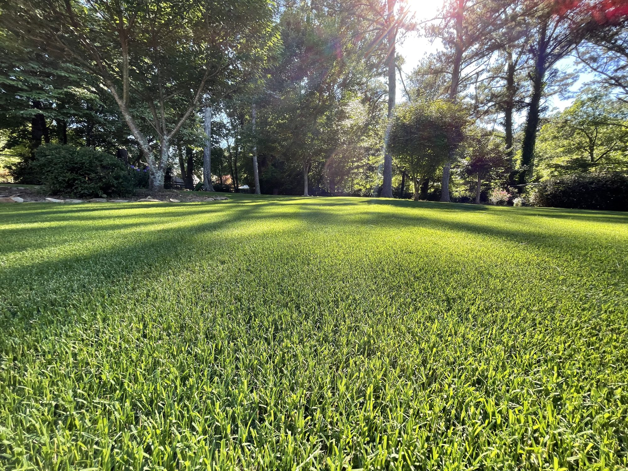 A well-maintained lawn cared for by Noonday Lawn Care